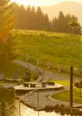 Naturteich mit Abendsonne