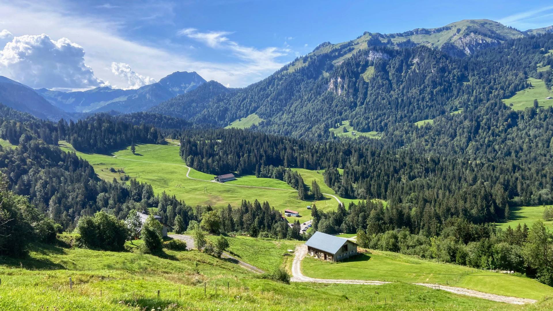 Berglandschaft im Allgäu mit grünen Wiesen und Bäumen