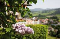 Vorteile in unserem Hotel sichern: Eure Sommer-Vorteile - Tanneck