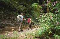 Personen wandern entlang eines Flusslaufs im Wald mit Ihrer Wanderausrüstung 