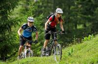 Personen beim Mountainbiken am Nebelhorn über eine Wiese