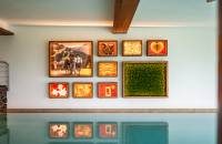 Bildergalerie von Bilder aus dem Allgäu im Wellnessbereich Tanneck