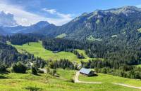 Berglandschaft im Allgäu mit grünen Wiesen und Bäumen