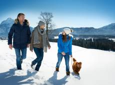 Personen gehen im Schnee mit einem Hund spazieren