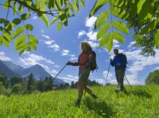 Wanderer unterwegs auf grüner Wiese und Bergpanorama