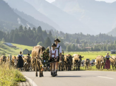 Kinder beim Almabtrieb im Allgäu