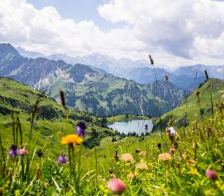 Alpsee und die umliegende Frühlingslandschaft im Allgäu