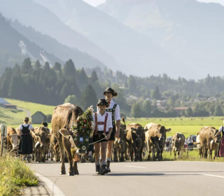 Kinder beim Almabtrieb im Allgäu