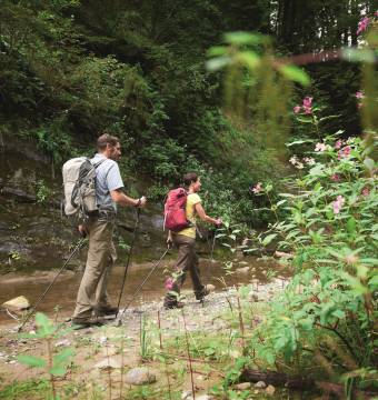 Personen wandern entlang eines Flusslaufs im Wald mit Ihrer Wanderausrüstung 