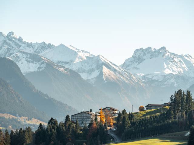 Schneebedeckte Berglandschaft mit Tannen und Wiesen im Vordergund