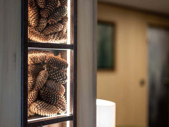 Nahaufnahme von Tannenzapfen in einer beleuchteten Vitrine 