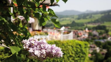 Sommerlicher Blick auf das Hotel